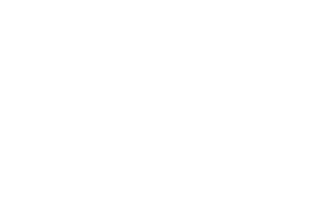 Saltex Logo